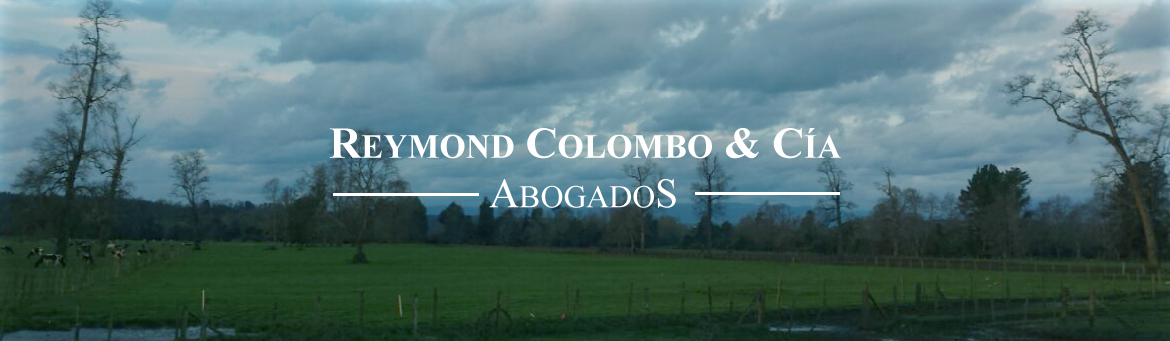 Reymond Colombo & Cìa
